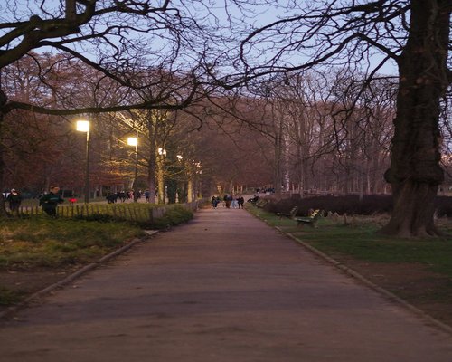 A person taking a calm walk through a city park in the evening